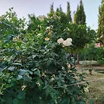 Filoxenia Di Umberto Gospodarstwo wiejskie Sassari