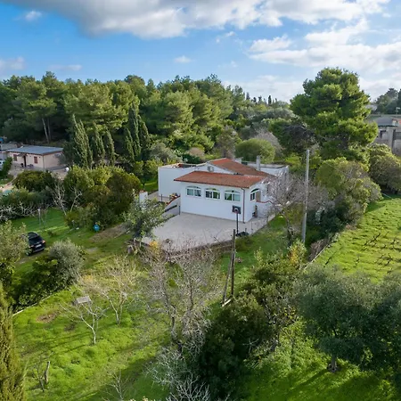 Filoxenia Di Umberto