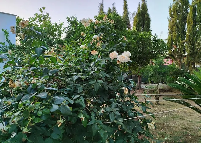 Filoxenia Di Umberto Lantställe Sassari