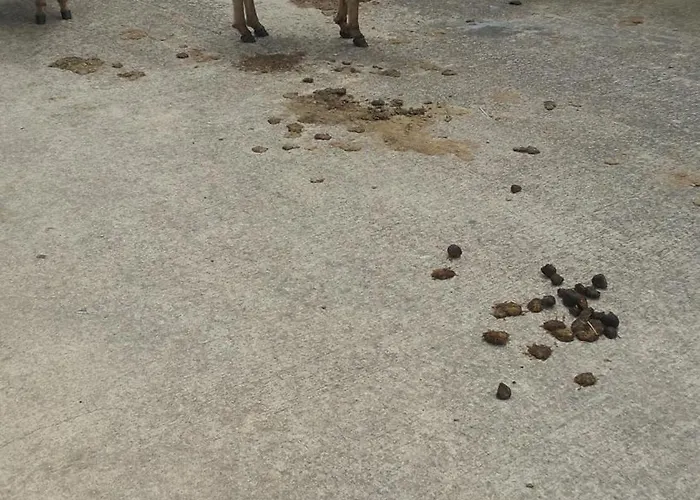 Lantställe Filoxenia Di Umberto